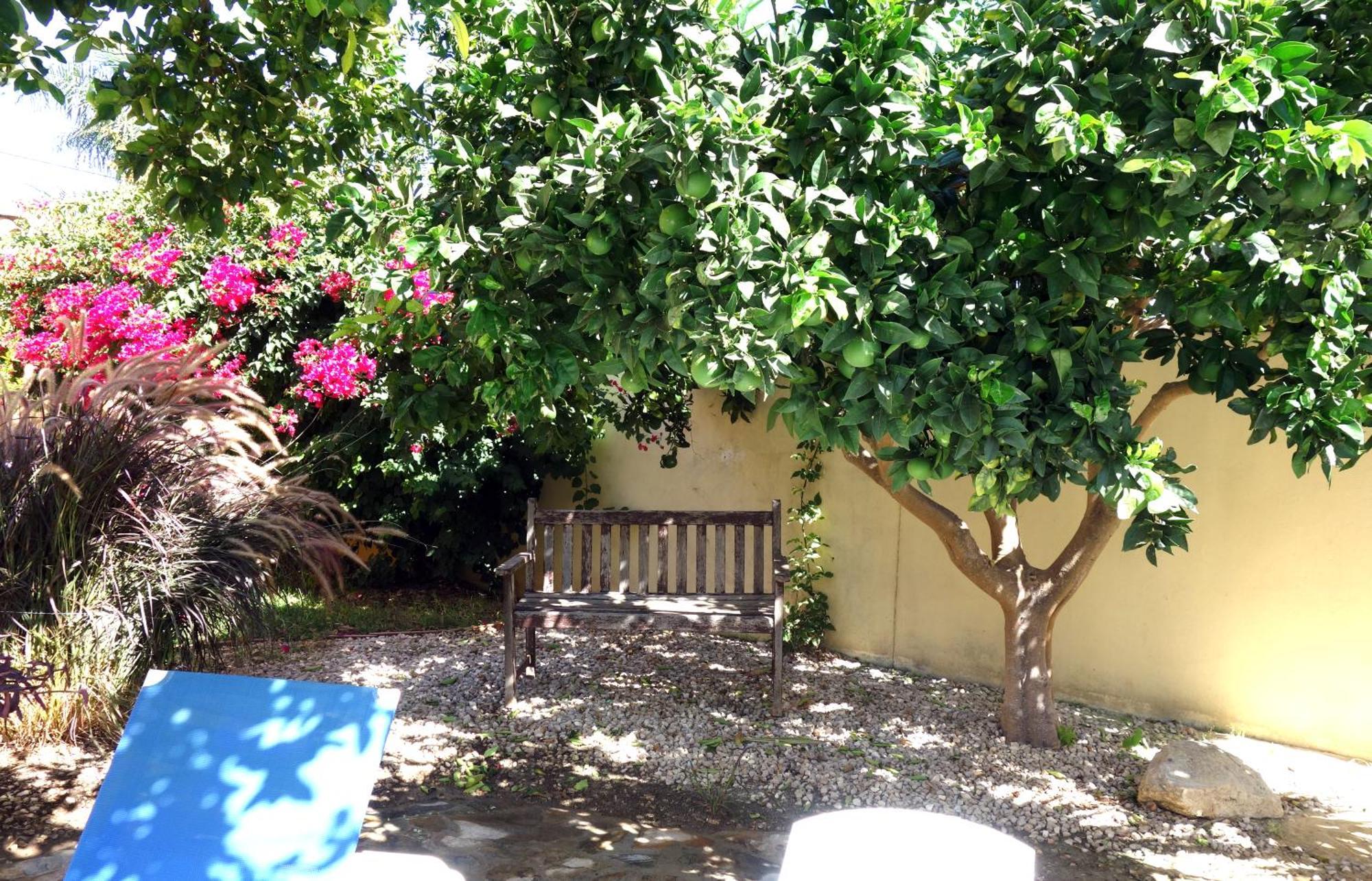 Casa Limon - Ferienhaus - Pool - Klimaanlage - W-Lan Chiclana de la Frontera Exteriör bild
